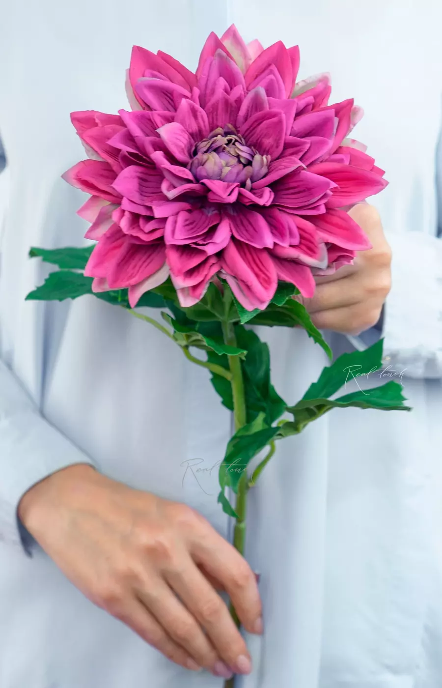 Пионовидный георгин - Малиновый Пионовидный георгин - Малиновый