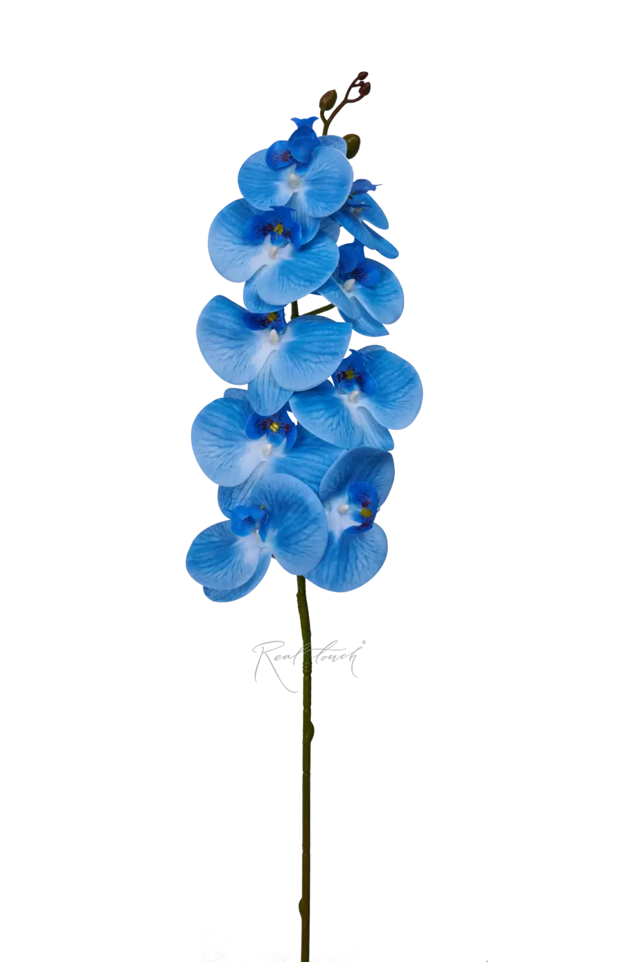 Орхидея 9 соцветий - Голубой