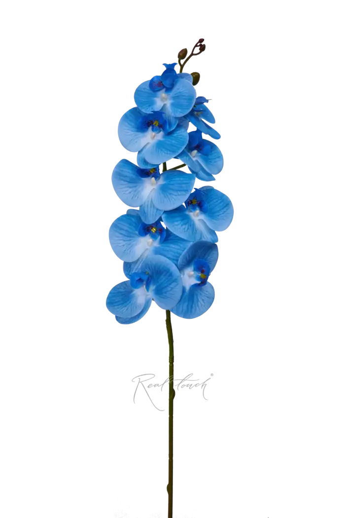 Орхидея 9 соцветий - Голубой