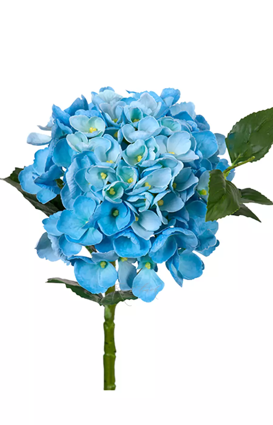 Гортензия крупнолистная small на стебле - Голубой