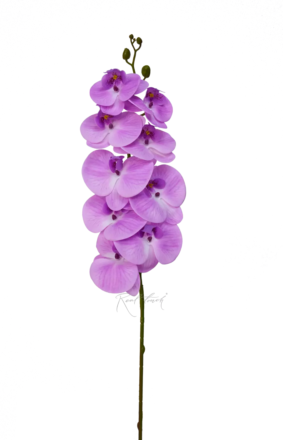 Орхидея 9 соцветий - Светло-фиолетовый