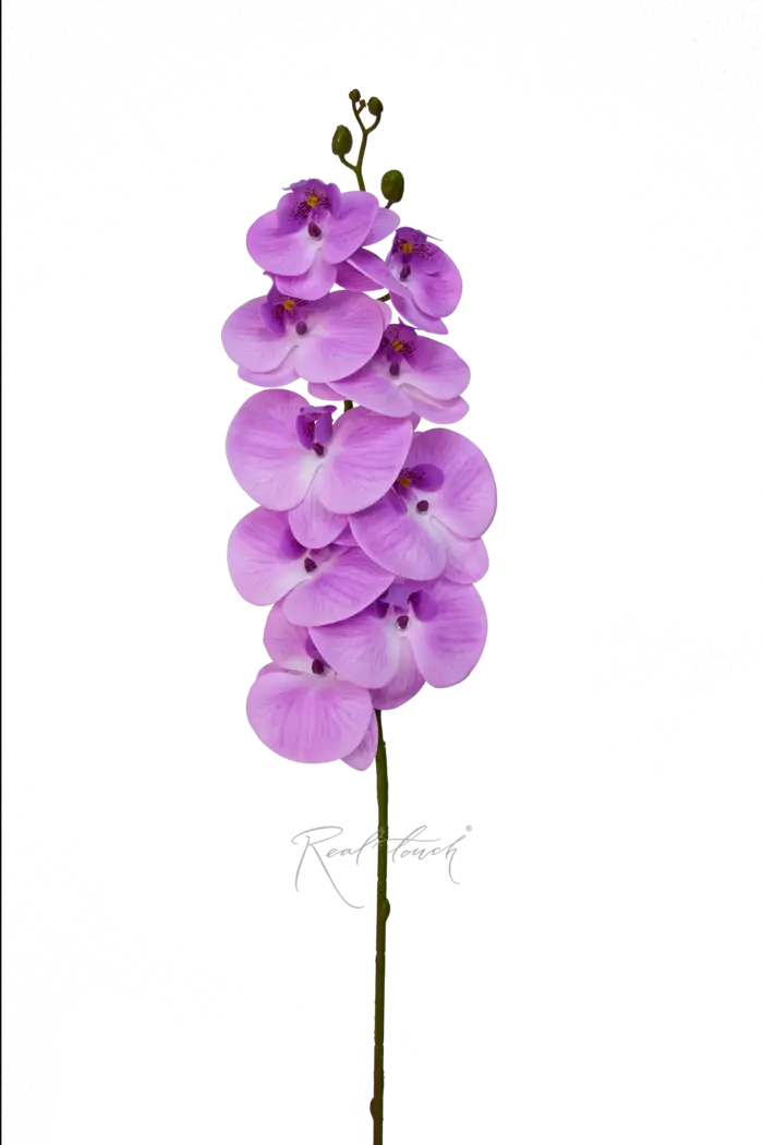 Орхидея 9 соцветий - Светло-фиолетовый