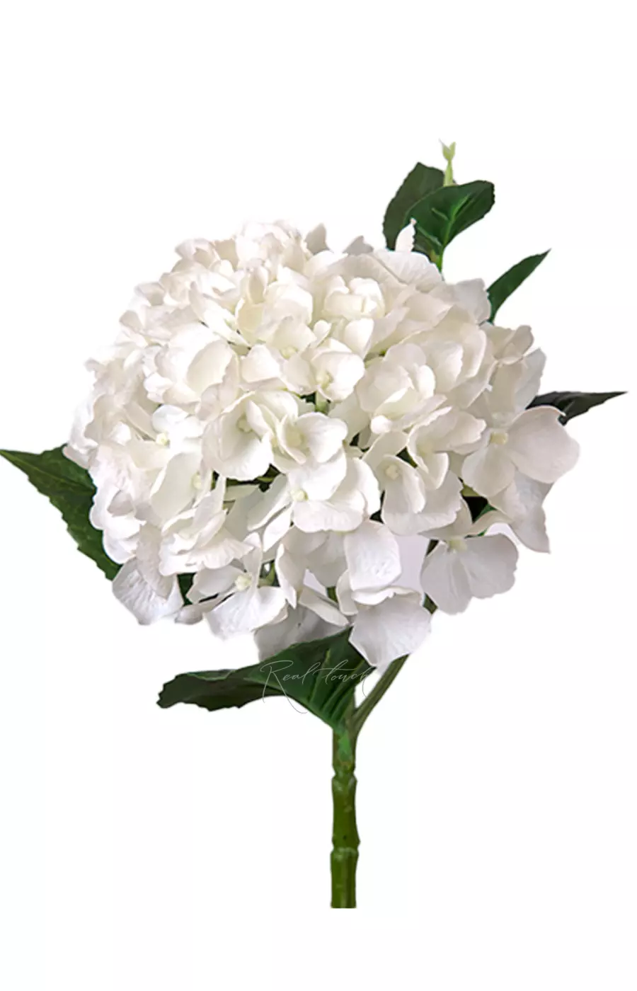 Гортензия крупнолистная small на стебле - Белый