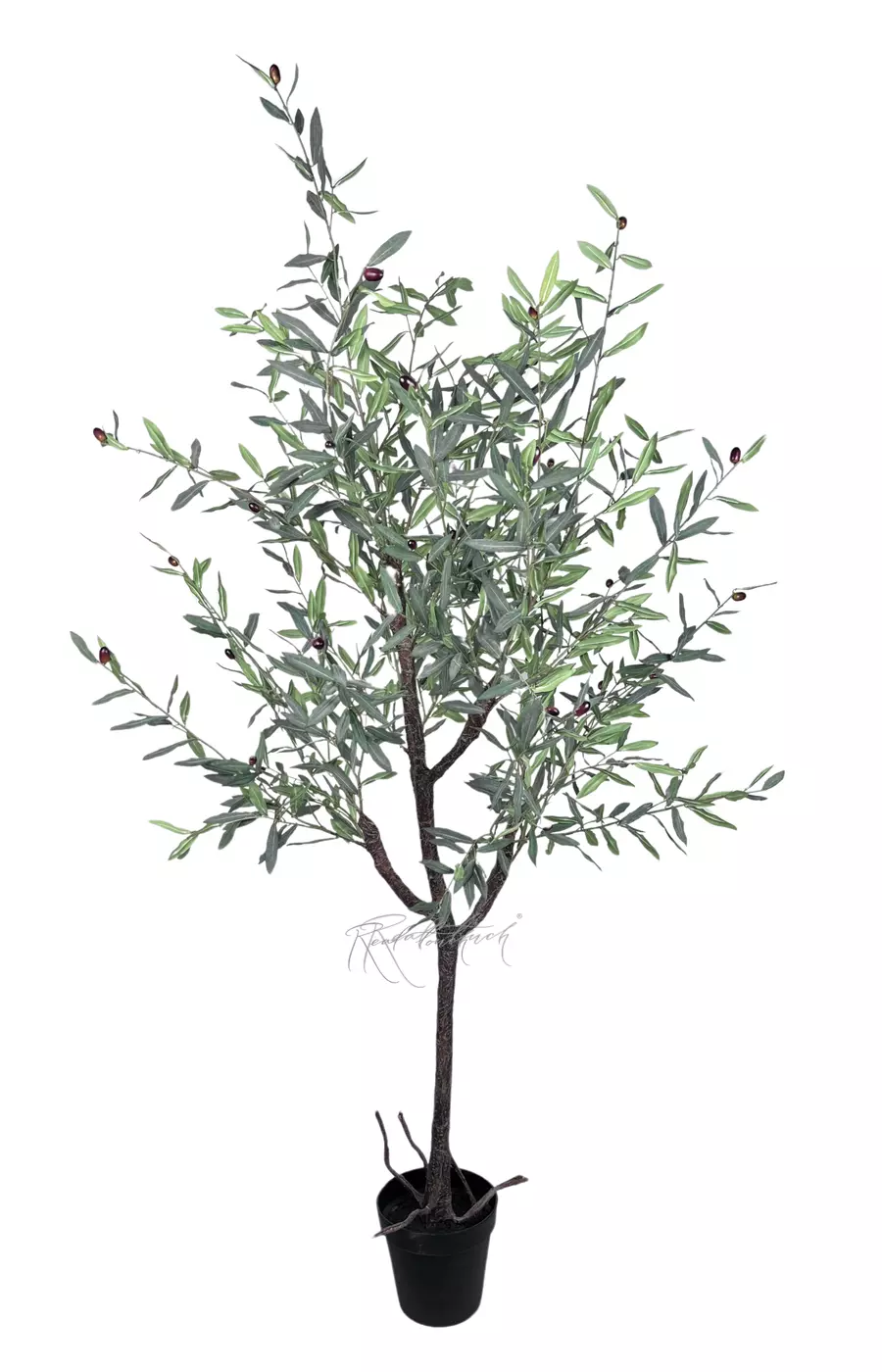 Олива 200 см в кашпо - Зеленый