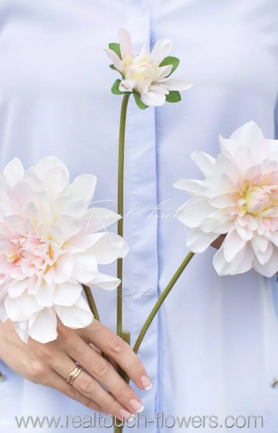 Георгин (968) - Бело-розовый (уценён) Георгин (968) - Бело-розовый (уценён)