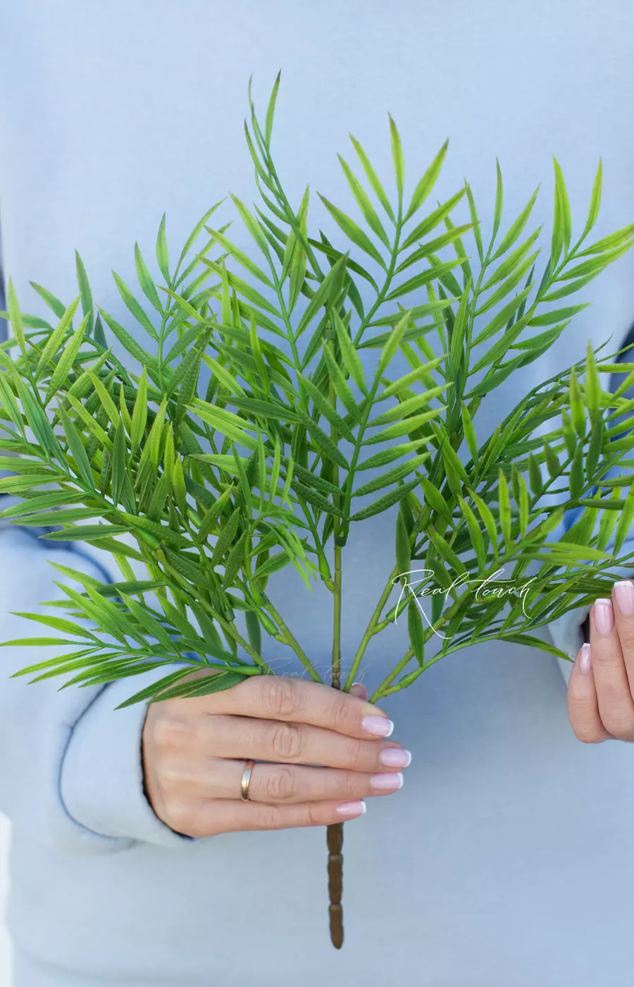 Бамбук пучок малый - Зеленый