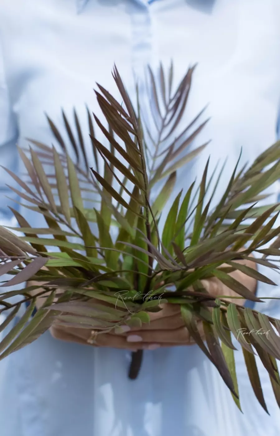 Бамбуковая пальма - Зелено-фиолетовый (уценён)