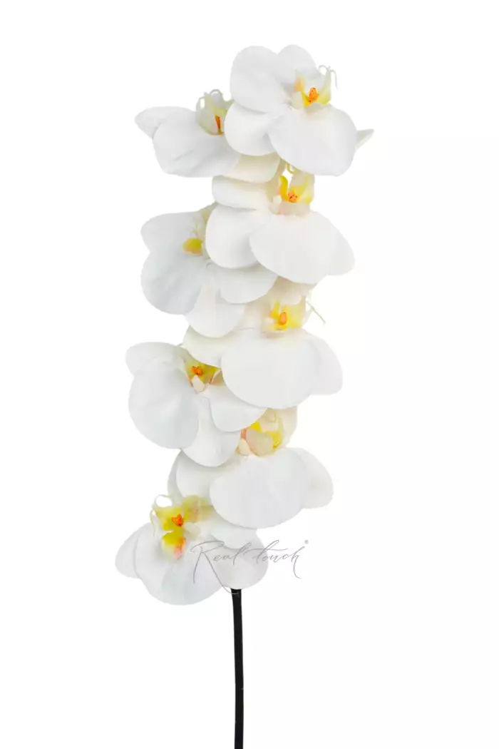 Орхидея Premium 8 соцветий (жёлтая сердцевина) - Белый Орхидея Premium 8 соцветий (жёлтая сердцевина) - Белый