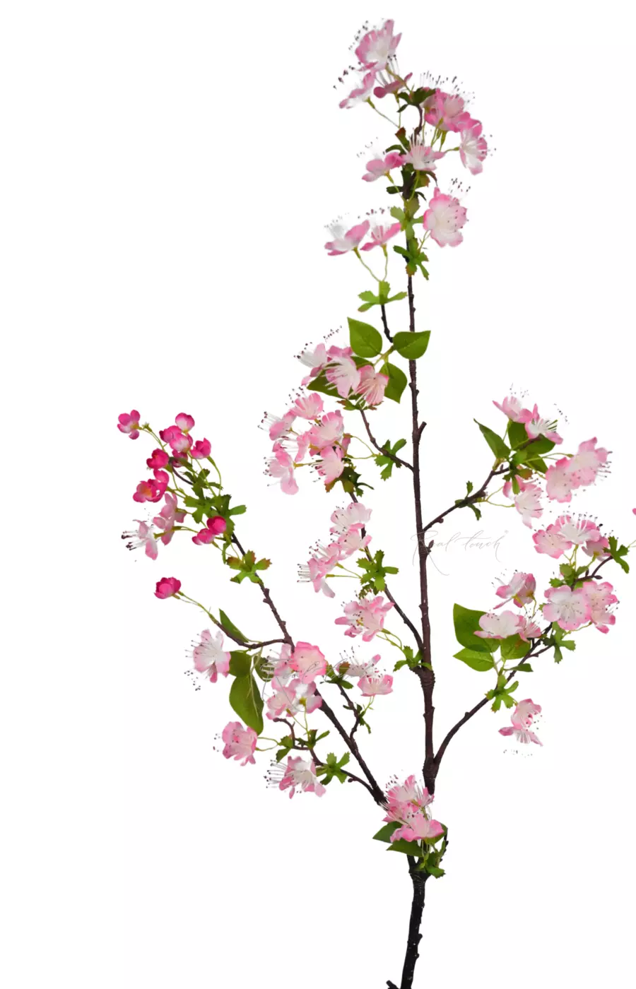 Ветка цветущей груши - Розовый