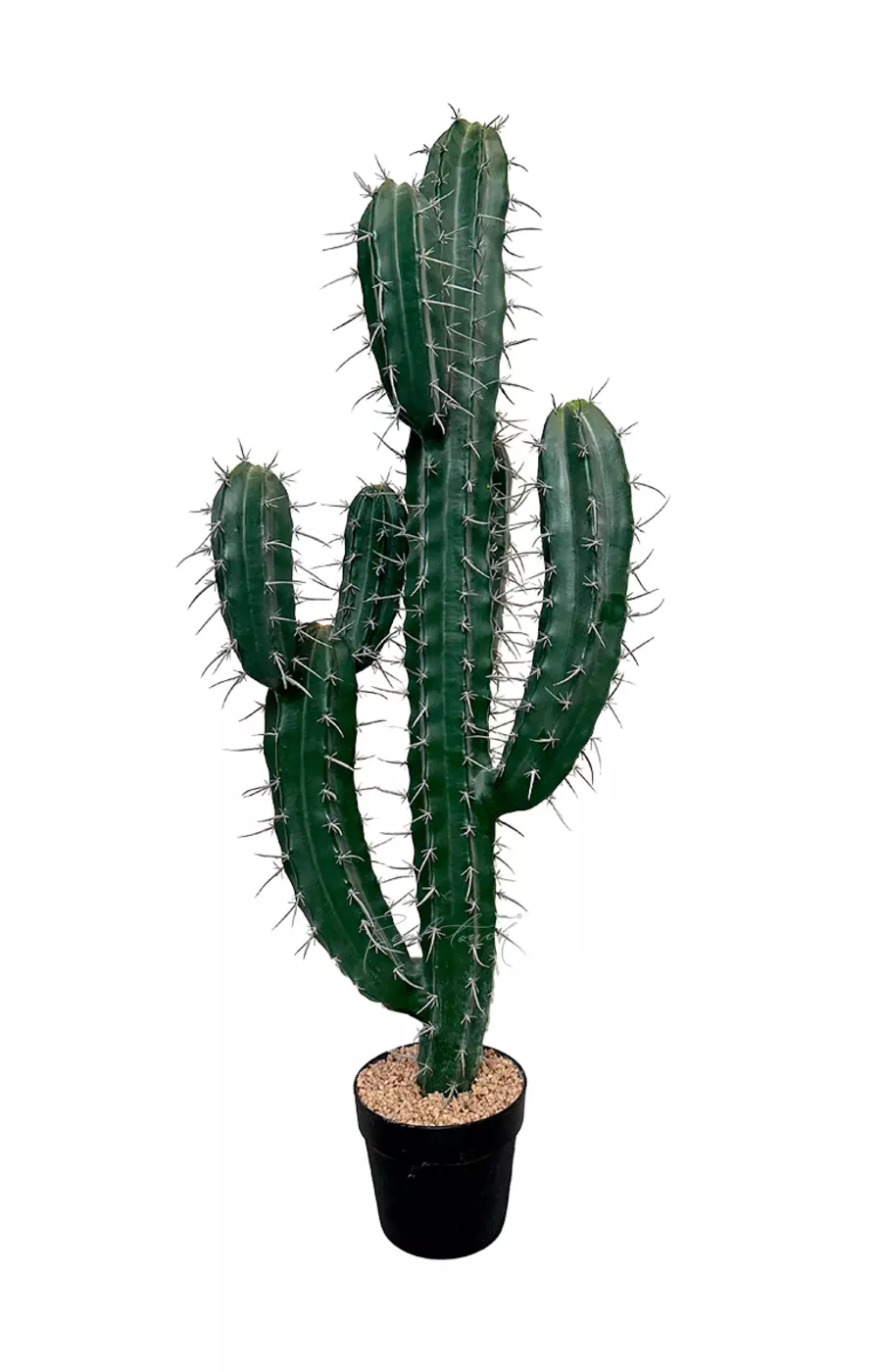 Кактус Стетсония (разветвленный) 101см - Зеленый