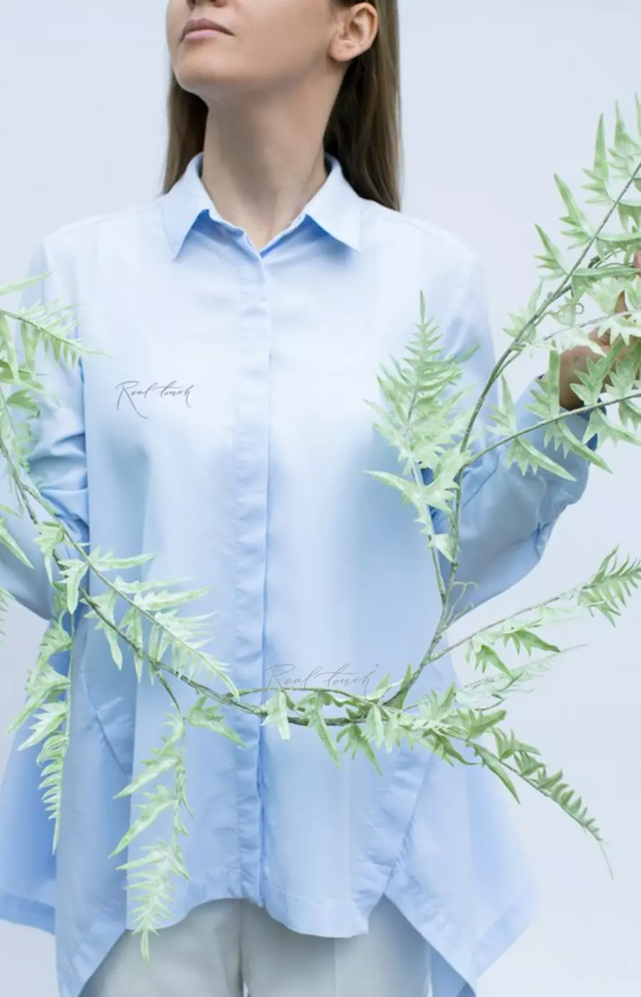 Оноклея ампельная - Пыльно-зеленый