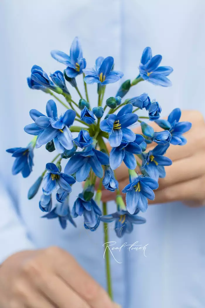 Агапантус (1593) - Синий (уценён) Агапантус (1593) - Синий (уценён)