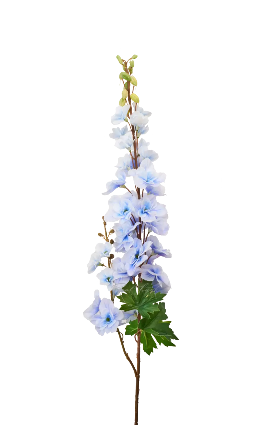 Дельфиниум с 2 ветками - Голубой