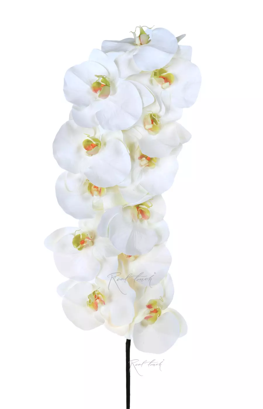 Орхидея Premium 12 соцветий (жёлтая сердцевина) - Белый