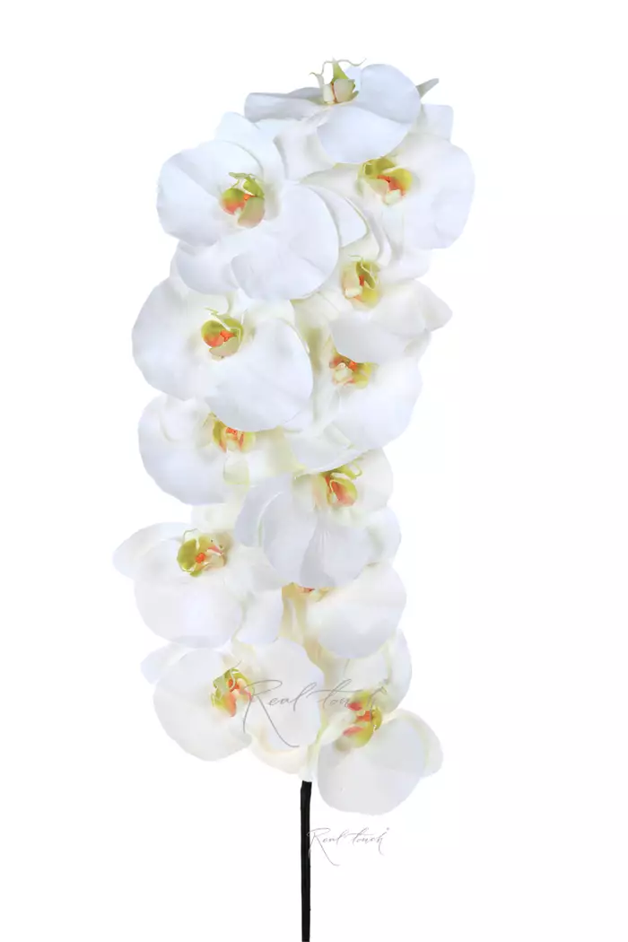Орхидея Premium 12 соцветий (жёлтая сердцевина) - Белый