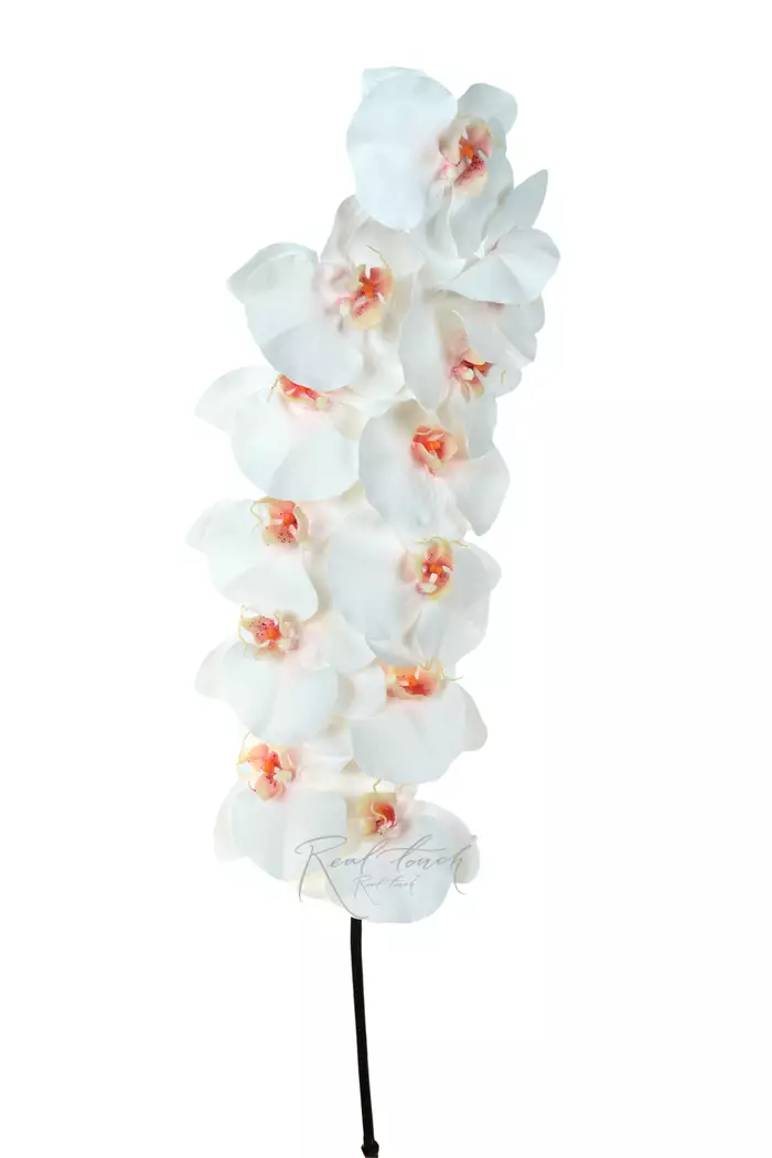 Орхидея Premium 12 соцветий (розовая сердцевина) - Белый