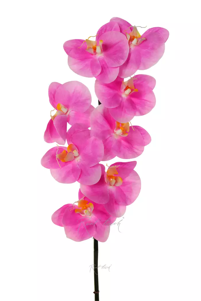 Орхидея Premium 8 соцветий - Ярко-розовый Орхидея Premium 8 соцветий - Ярко-розовый