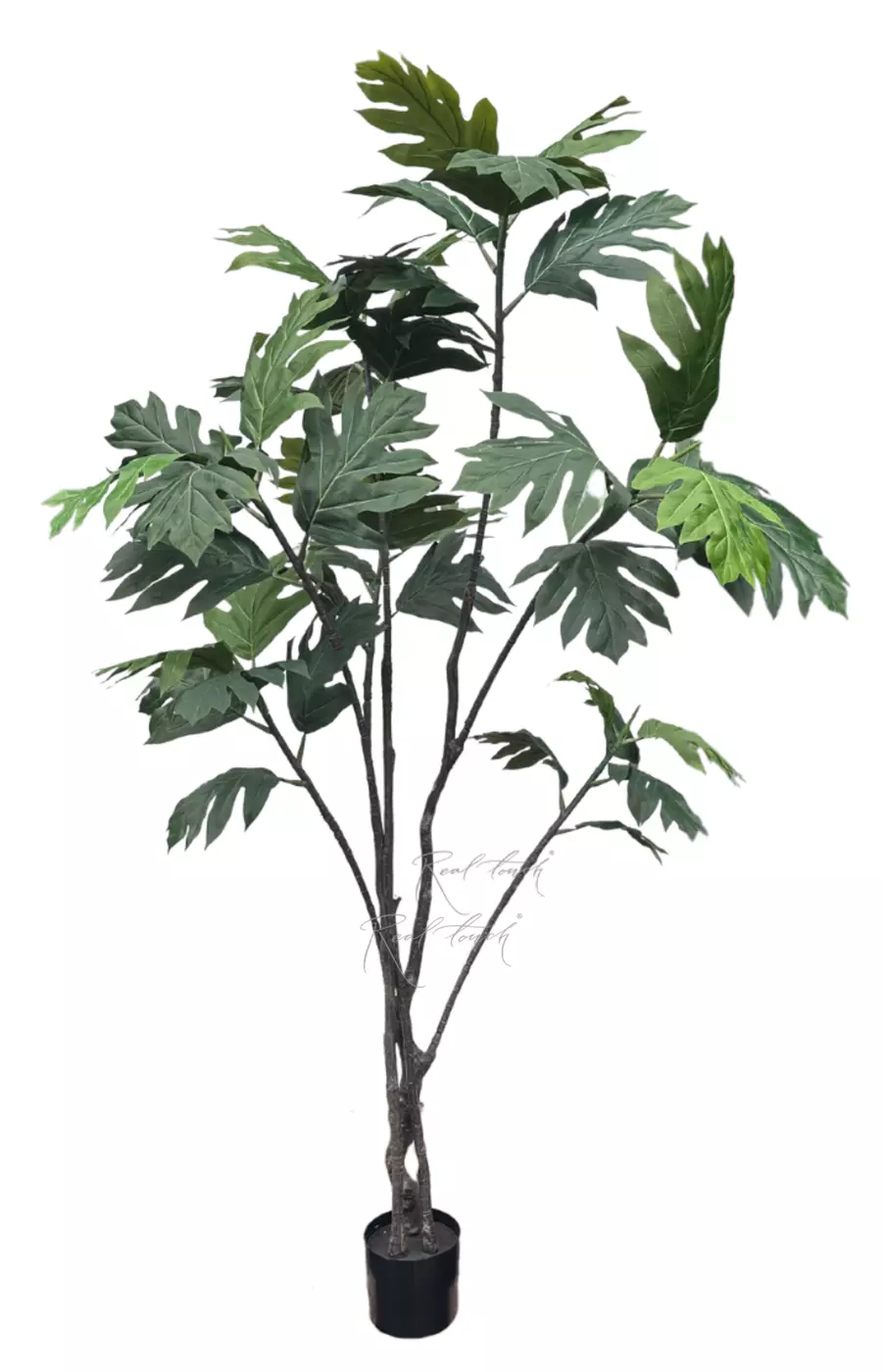 Артокарпус 230см - Зеленый