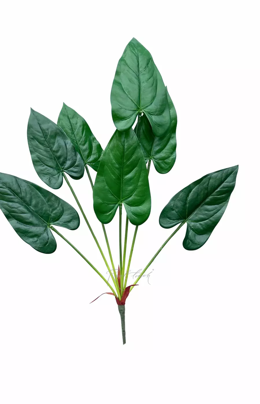 Куст Антуриума 7 листьев 76см - Зеленый