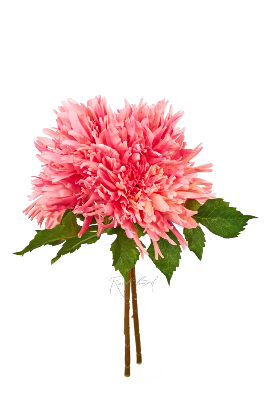 Букет Махровых хризантем из 3 шт - Розовый