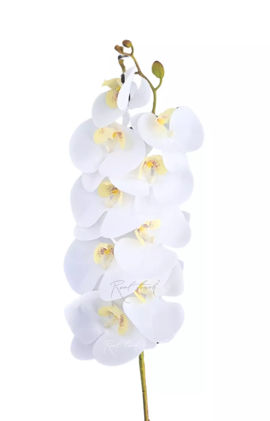Орхидея 9 соцветий - Белый