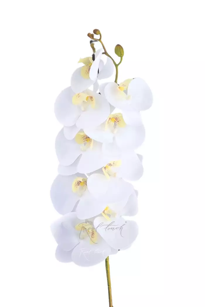 Орхидея 9 соцветий - Белый Орхидея 9 соцветий - Белый