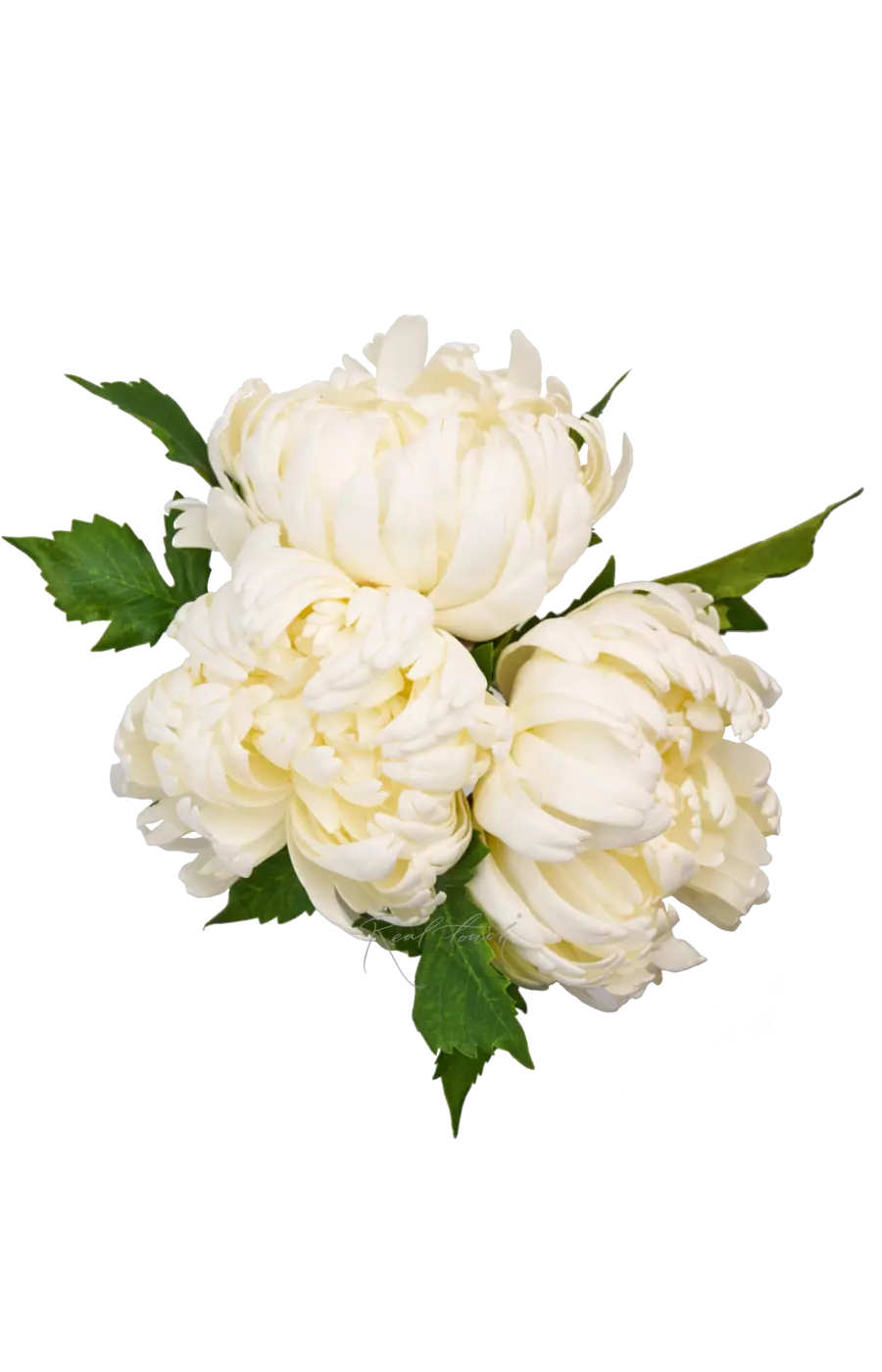 Букет хризантем Венский бал из 3 шт - Белый