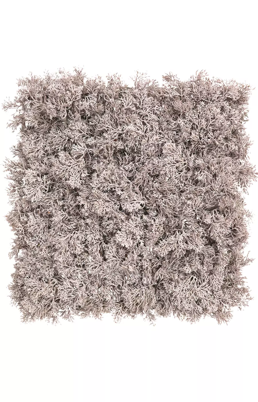 Мох Ягель панель 24,5*24,5см - Серебро