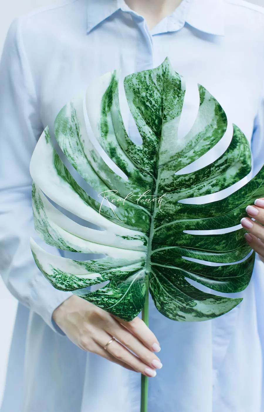 Лист вариегатной монстеры большой - Бело-зеленый