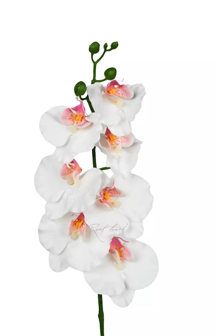 Орхидея 7 соцветий 85см - Белый