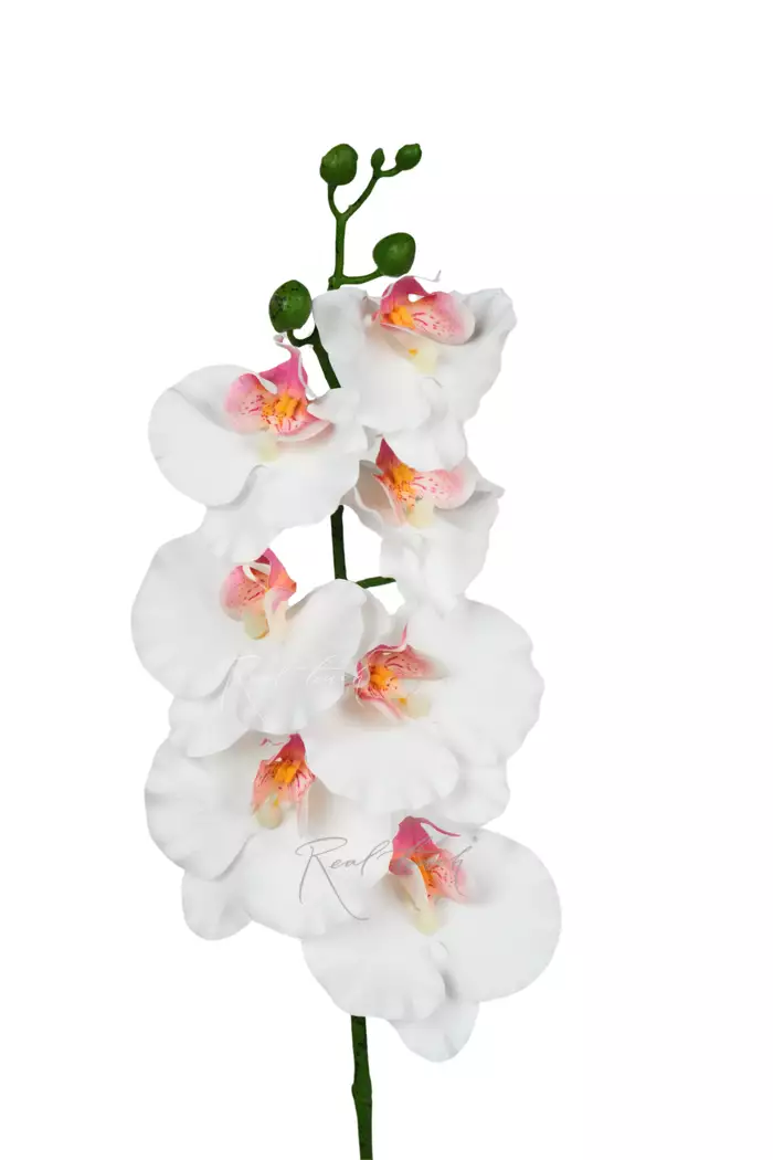 Орхидея 7 соцветий 85см - Белый Орхидея 7 соцветий 85см - Белый