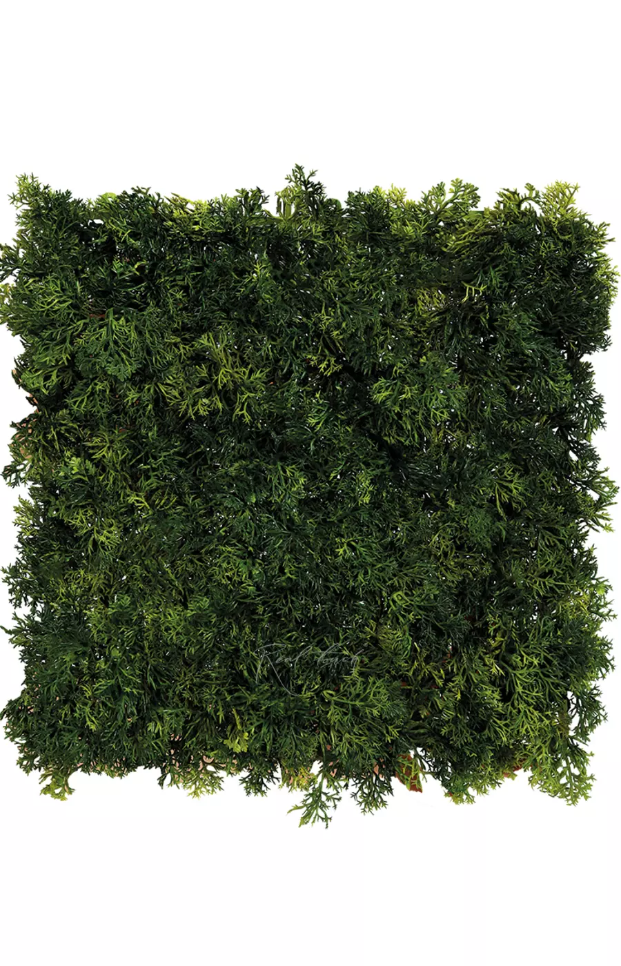 Мох Ягель панель 24,5*24,5см - Темно-зеленый