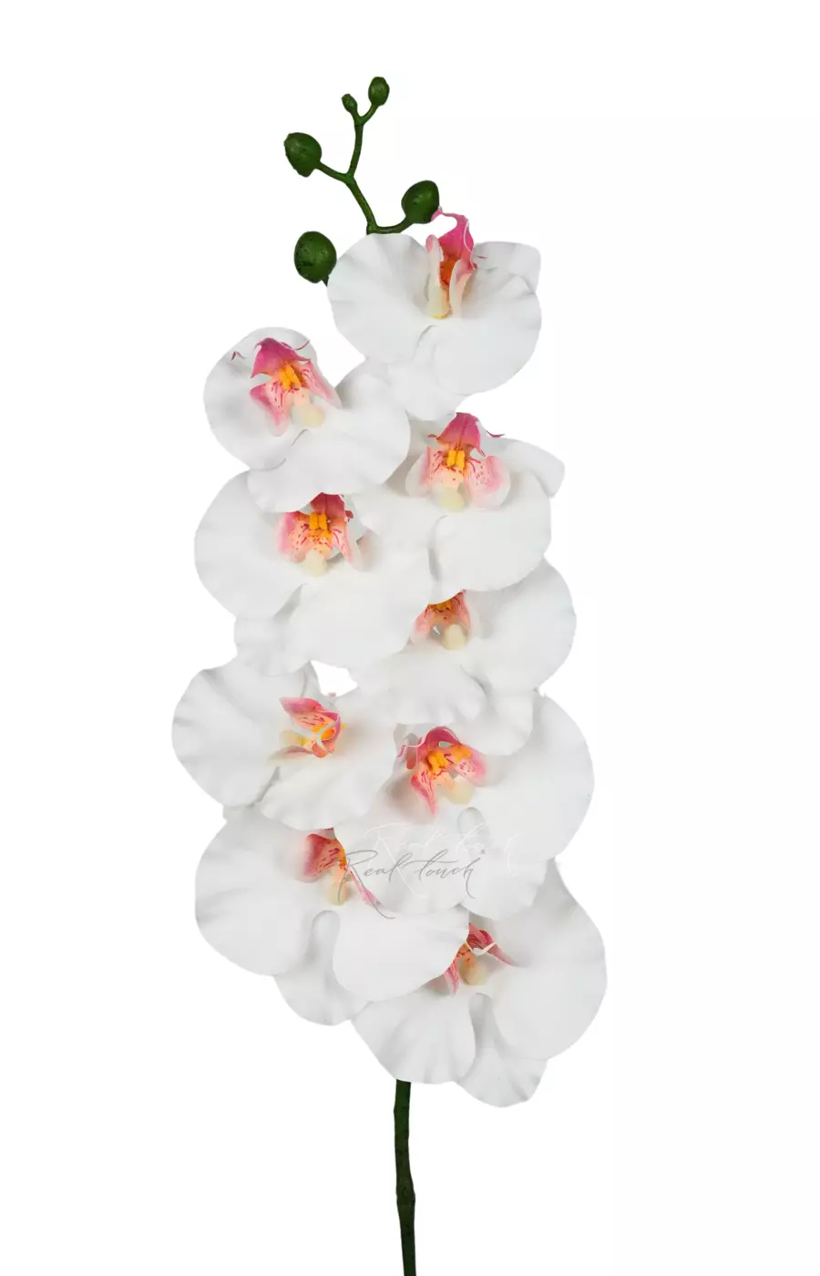 Орхидея 9 соцветий - Белый Орхидея 9 соцветий - Белый