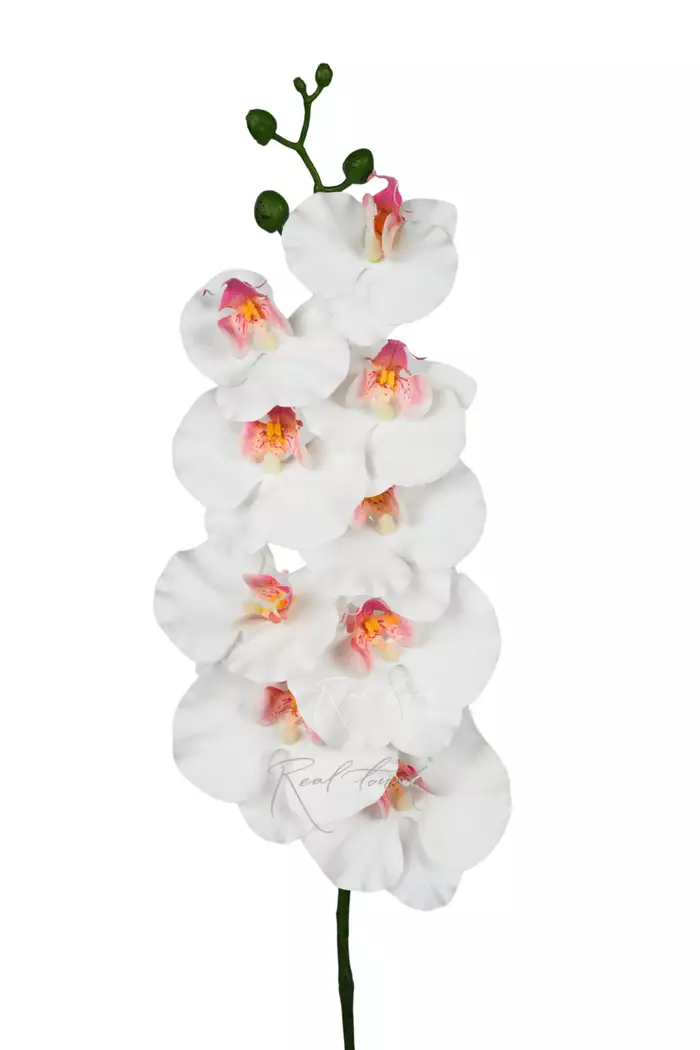 Орхидея 9 соцветий - Белый Орхидея 9 соцветий - Белый