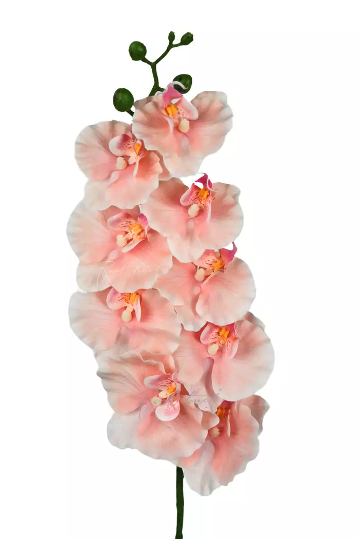 Орхидея 9 соцветий - Персиково-розовый Орхидея 9 соцветий - Персиково-розовый