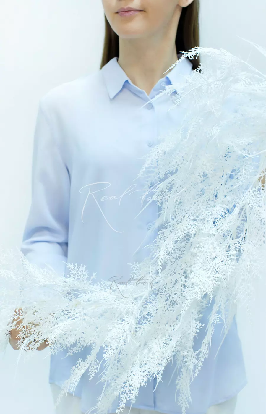 Аспарагус перистый новый - Белый Аспарагус перистый новый - Белый