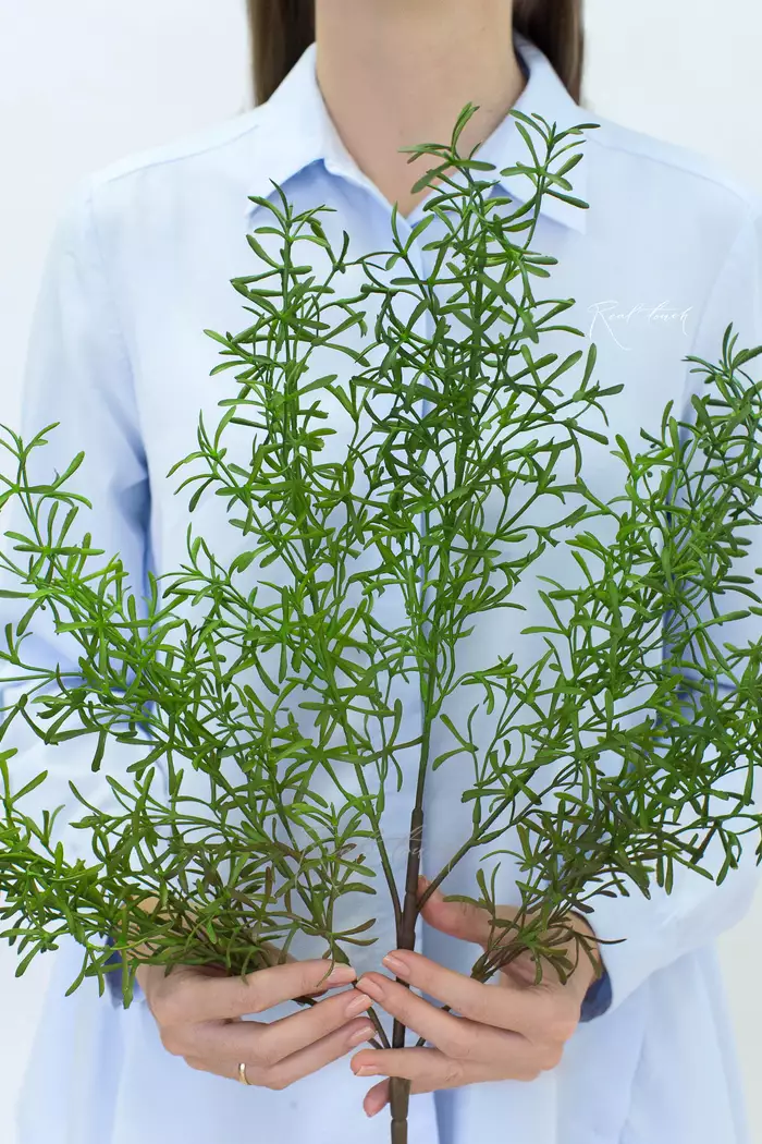 Розмарин пучок (1646) - Зеленый (уценён) Розмарин пучок (1646) - Зеленый (уценён)