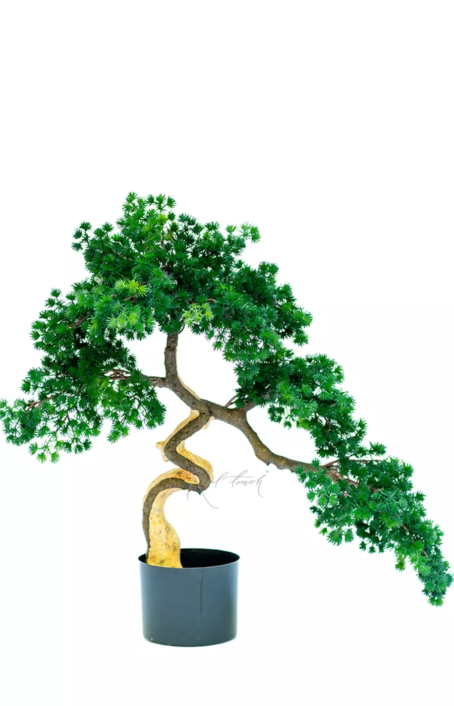 Бонсай игольчатый в. 63 см/ ш. 65 см (белый ствол) - Зеленый