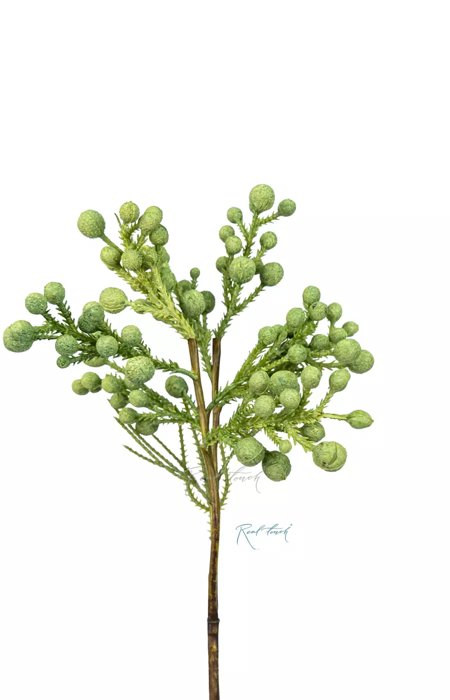 Бруния серебристая - Зеленый Бруния серебристая - Зеленый