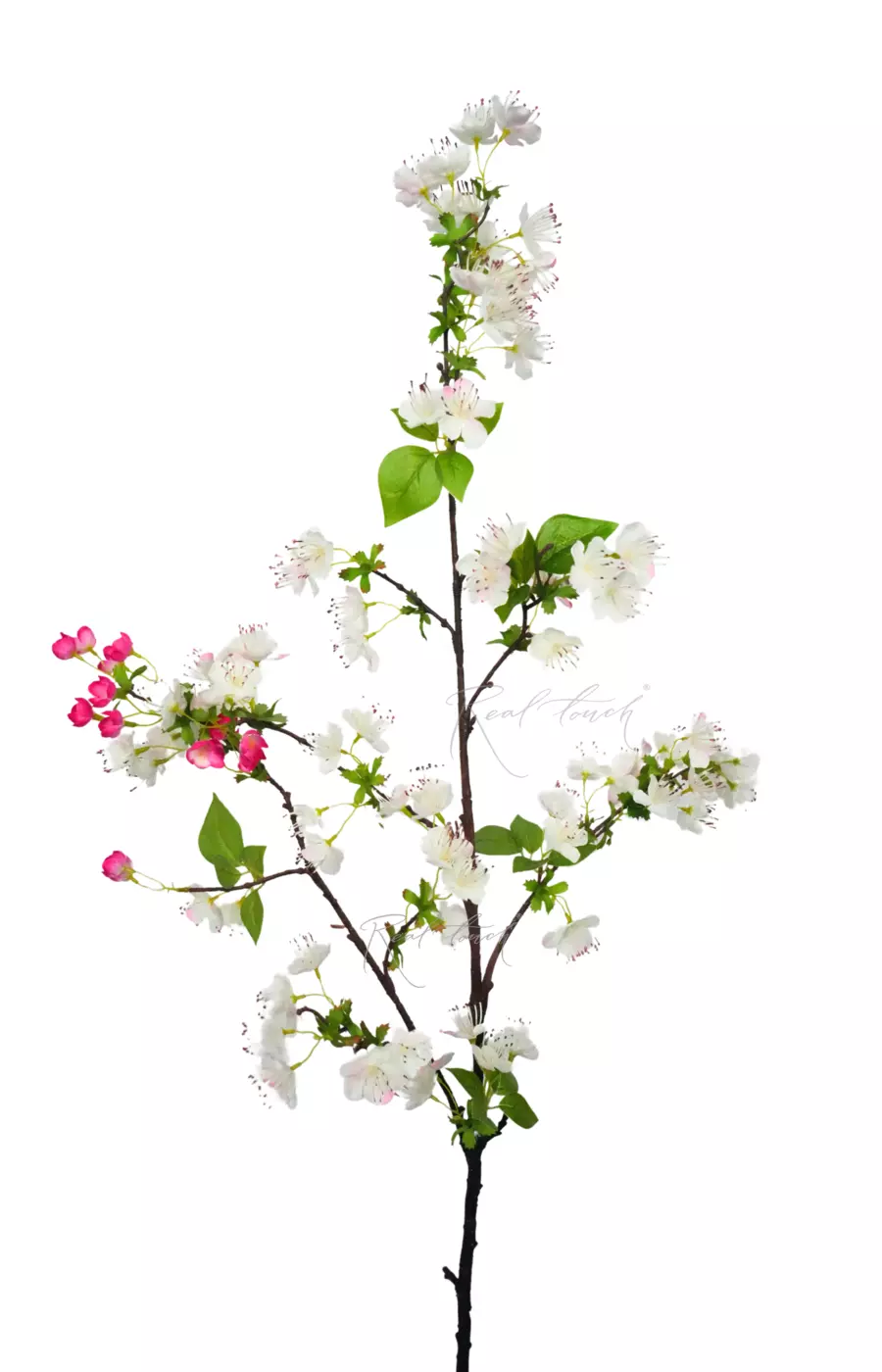 Ветка цветущей груши - Бело-розовый Ветка цветущей груши - Бело-розовый