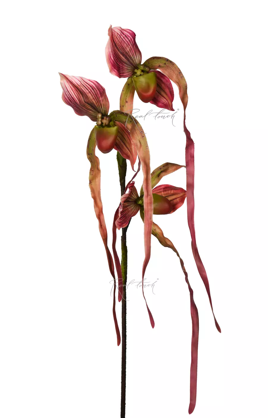 Орхидея Фрагмипедиум 76см - Розово-фиолетовый Орхидея Фрагмипедиум 76см - Розово-фиолетовый