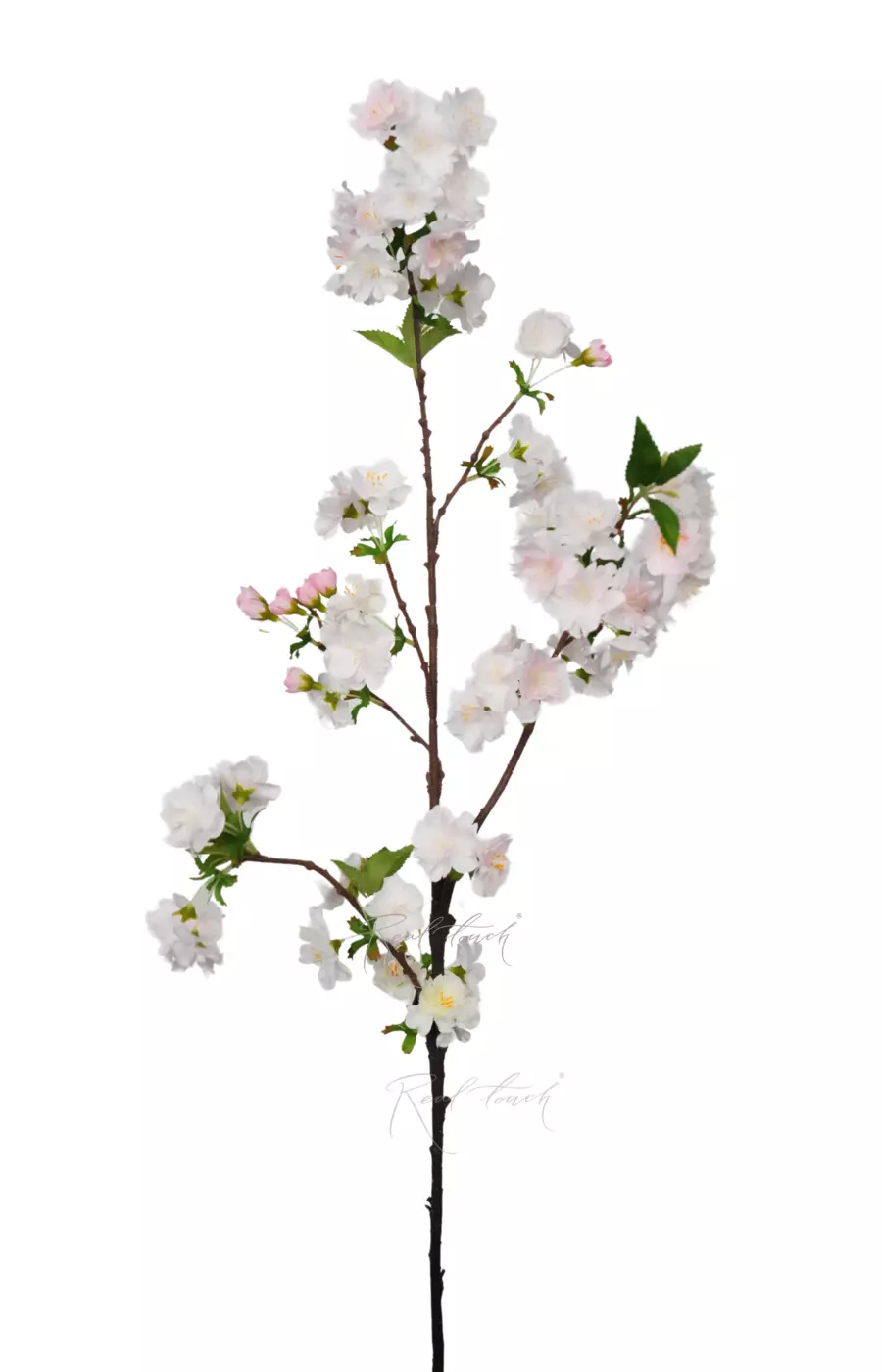 Ветка цветущей вишни - Светло-розовый Ветка цветущей вишни - Светло-розовый
