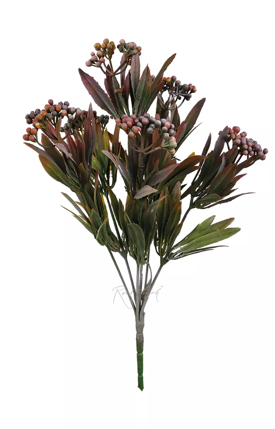 Душистый горошек - Фиолетовый