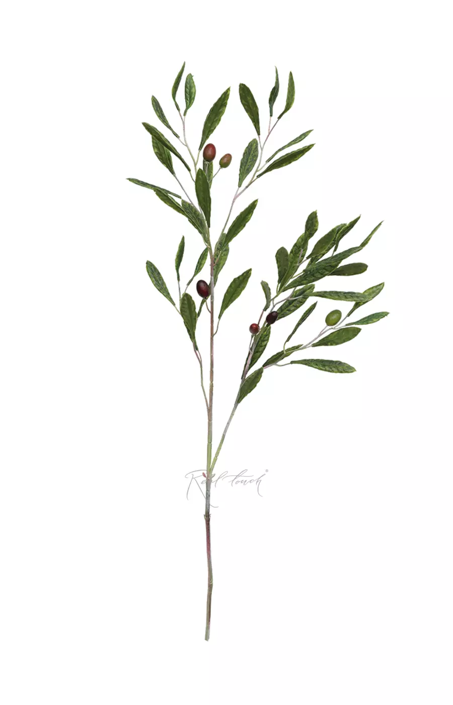 Ветка оливы с плодами 105см - Зеленый