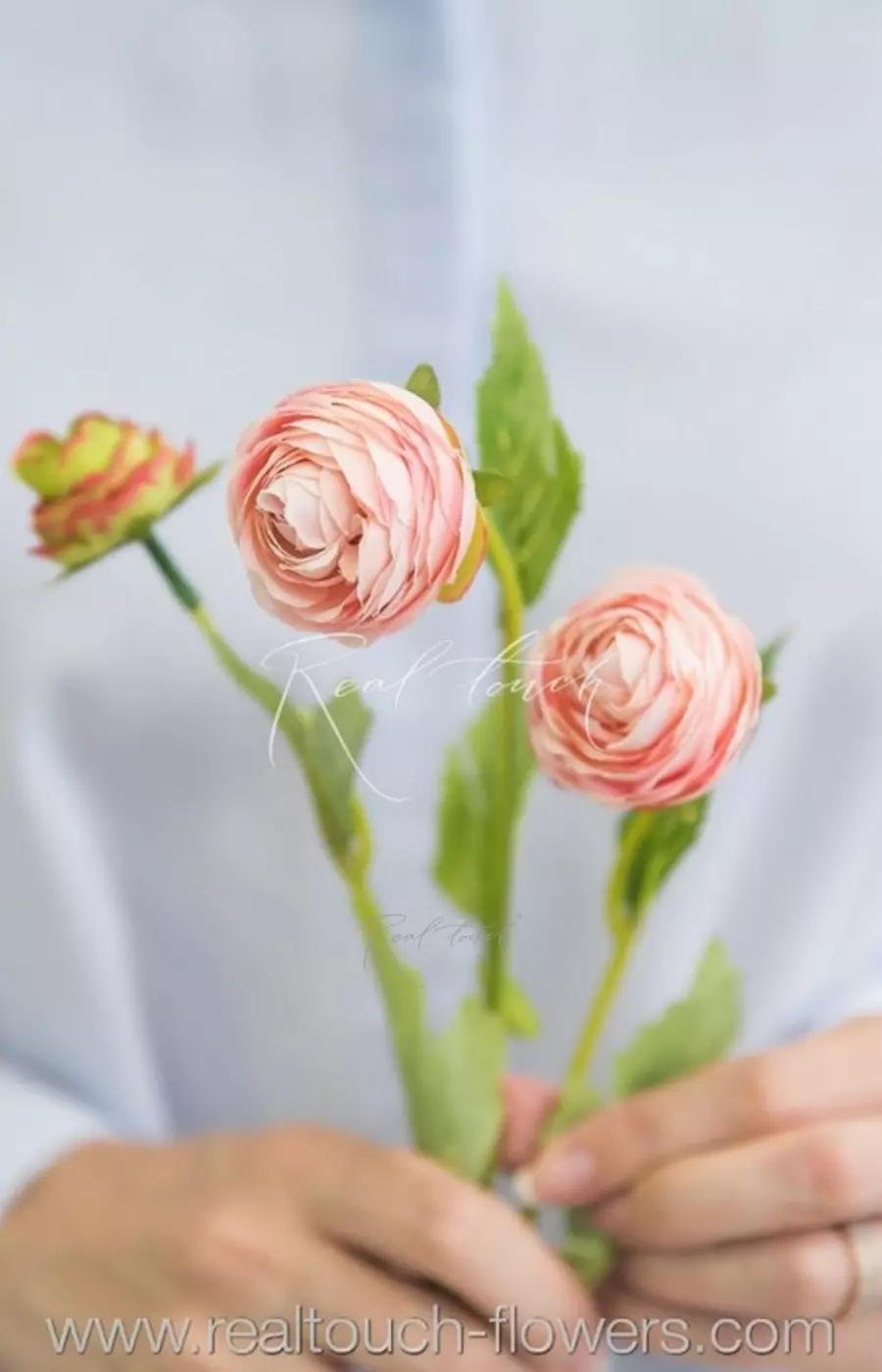 Ранункулюс 2+1 new - Розовый