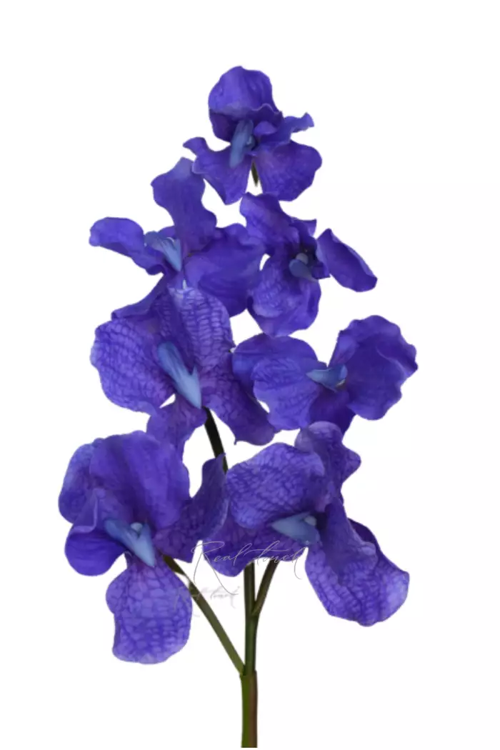 Орхидея ванда 7 соцветий - Фиолетовый