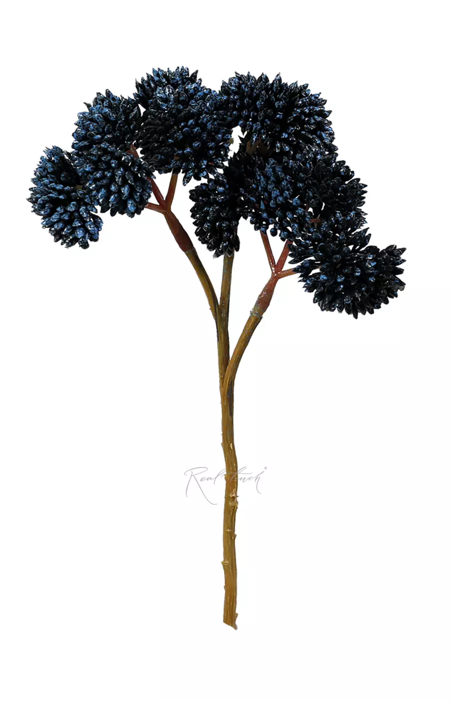 Седум малый - Синий Седум малый - Синий