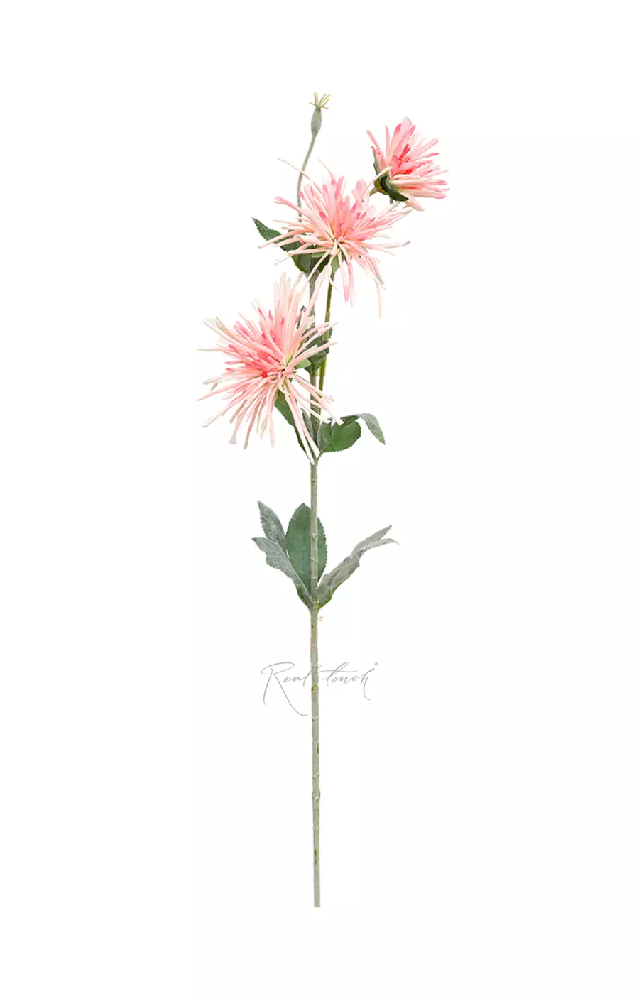 Хризантема 3 соцветия - Светло-розовый