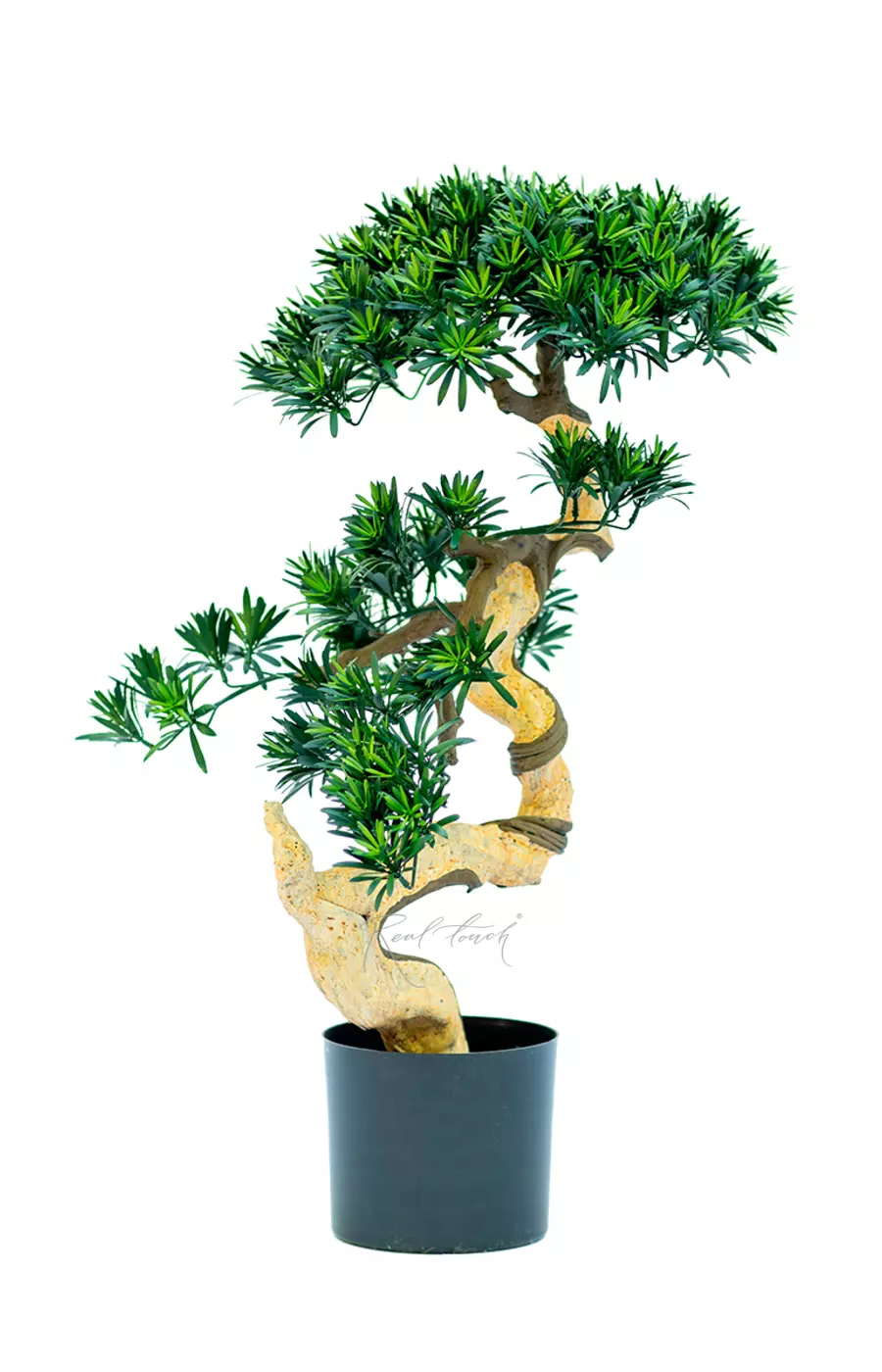 Бонсай листовой в. 85 см/ ш. 60 см(белый ствол) - Зеленый