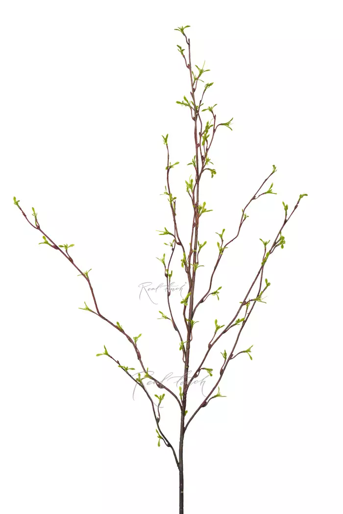 Ветка с молодыми листочками 120см - Зеленый